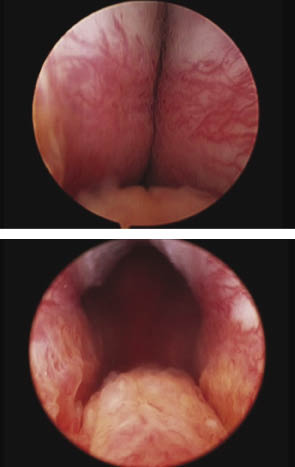 DrBarkin_Fig4_CMYK.eps